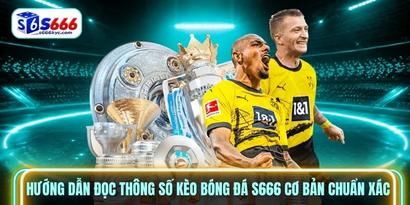 Hướng dẫn đọc thông số Kèo bóng đá S666 cơ bản chuẩn xác Hướng dẫn đọc thông số Kèo bóng đá S666 cơ bản chuẩn xác